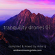 Tranquility Drones 01 mixed by Mike G logo