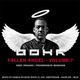 Fallen Angel Volume 7 - mixed by B O H R - Organic / Progressive mixset logo