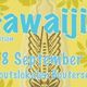 Hawaijin 2018 logo