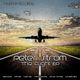 Peter Strom - The Flight (Danek's Micro Dub Remix) logo