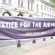 World Day For Animals In Laboratories March 2012 - voices for the voiceless, Part 1 logo
