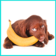 Cocos, bananas (2007) logo