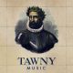 Tawny Music, Vol. 02 logo