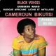 Emission de BLACK VOICES spéciale CAMEROUN BIKUTSI années 80 RADIO DECIBEL 02/2016 logo