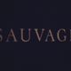SAUVAGE International Live Mix 25.10.2016 By The King South #1 From Buenos Aires, Argentina . logo