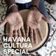 Havana Cultura special logo
