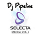 Dj Pipeline - Dj Selecta Special Vol.1 logo