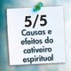 5 - ALIANÇAS ESPIRITUAIS: Causas e efeitos do cativeiro espiritual. logo