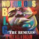 Notorious B.I.G. Remixes / It Was All A Dream logo