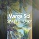 Sweet & Funky  - Marga Sol DJ live Mix #2 (Funk, Groove & Soulful House Music)  logo