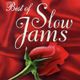 Slow Jam Nonstop Music -LoveSong- logo