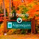 DJ PeterB - Algonquin (Original Mix) ©2014 logo