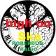 Roberdub Radio - High on Ska Rock the Dub logo
