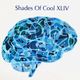 Shades Of Cool XLIV logo