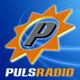 PulsRadio : Flozereal - France Loves Trance #156# logo