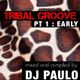 DJ PAULO - TRIBAL GROOVE - Pt 1 (EARLY) Spring 2018 logo