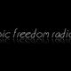 Music Freedom Radio..Live Internet Radio 11/12/2013 logo