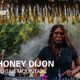 Honey Dijon @ Boiler Room x Sugar Mountain - 2018 logo