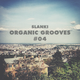 Organic Grooves #04 logo