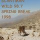 Scantman Wild 98.7 - Tampa Bay Florida - Spring Break 1998 logo