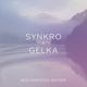 SYNKRO X GELKA - New Horizons Mixtape logo