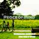 Peace of mind -Japanese Holiday Hip Hop & Pops- logo