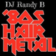 DJ Randy B- Hair Band Mix logo
