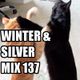 Winter & Silver Mix 137 (July 2018) logo