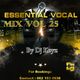 Issential Vocal Mix Vol.25 Mixed By DJ Keyz logo