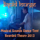 Liquid Lounge - Live @ Magical Sounds DanceTent - Bearded Theory 2013...  logo