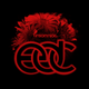 Martin Solveig / EDC 2017 (Las Vegas) logo