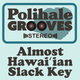 Almost Hawaiian Slack Key Guitar Groove logo