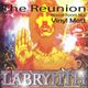 Vinyl Matt, Live set at the Labrynth Reunion Aug 2009 logo