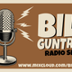 DJ Bill Guntrip Rockin' Blues Special Mixcloud show 9 logo