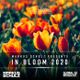 Global DJ Broadcast Apr 09 2020 - In Bloom (3 Hour All-Vocal Trance Mix) logo