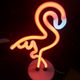Cyndi Radio - Flamingo Boogie Flare mixtape logo