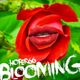 Hofer66 - blooming - live at ibiza global radio 170605 logo