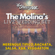 LIVE SET - The Molina's Wedding - Bachata, Salsa, Merengue, Banda logo