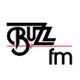 Buzz FM Birmingham - Reopening - 25/11/1993 logo
