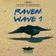 Raven: Wave 1 logo
