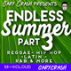 Endless Summer 3 - Reggae, Dancehall, R&B, Latin, Old School and more logo