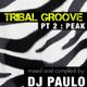 DJ PAULO-TRIBAL GROOVE Pt 2 (PEAK) Spring 2018 logo