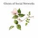 Nathan - Ghosts of Social Networks logo