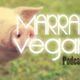 Marrano Vegano (Podcast) Vol. 14 logo
