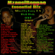 Mzansi Reggae Essential Mix 2 logo