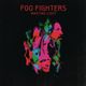 Foo Fighters - Wasting Lights (Full Album) logo