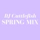 Uncensored Spring Mix - DJ Cuttlefish - Far Out Galaxy logo