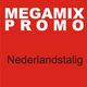 Nederlandstalige Hits Megamix logo