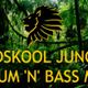 Oldskool Jungle Drum n Bass Mix 92-97 logo