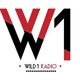 Wild 1 Radio on TuneIn Radio / Gecko Bros Radio | Matt Chavez Mixshow | 7-30-16 logo